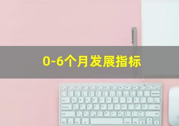 0-6个月发展指标