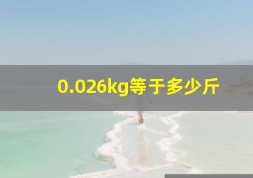 0.026kg等于多少斤