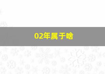 02年属于啥