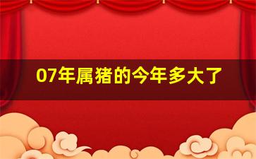 07年属猪的今年多大了