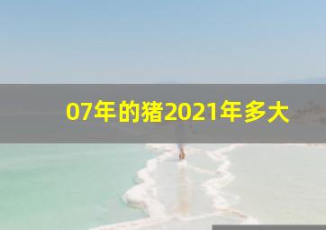 07年的猪2021年多大