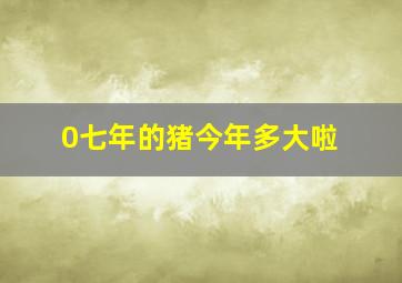 0七年的猪今年多大啦