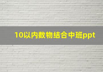 10以内数物结合中班ppt