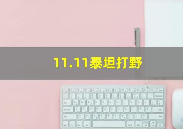 11.11泰坦打野