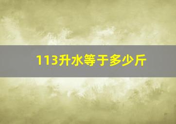 113升水等于多少斤