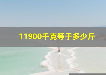 11900千克等于多少斤