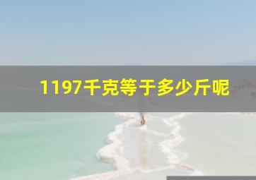 1197千克等于多少斤呢