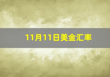 11月11日美金汇率