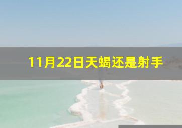 11月22日天蝎还是射手