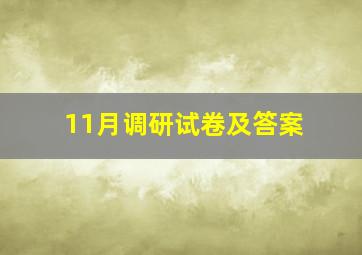 11月调研试卷及答案