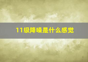 11级降噪是什么感觉