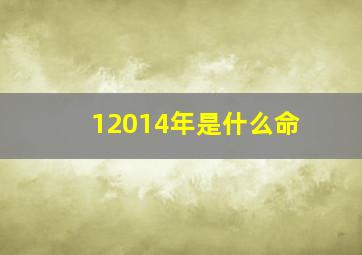 12014年是什么命