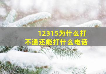 12315为什么打不通还能打什么电话