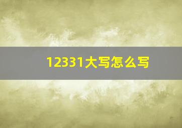 12331大写怎么写