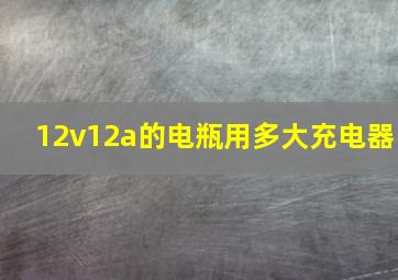 12v12a的电瓶用多大充电器