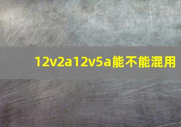 12v2a12v5a能不能混用