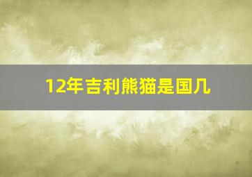 12年吉利熊猫是国几