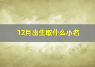 12月出生取什么小名