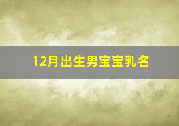 12月出生男宝宝乳名