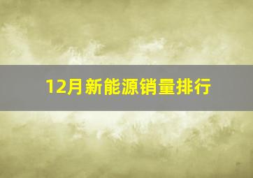 12月新能源销量排行