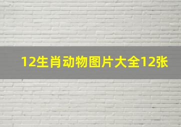 12生肖动物图片大全12张