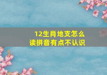 12生肖地支怎么读拼音有点不认识