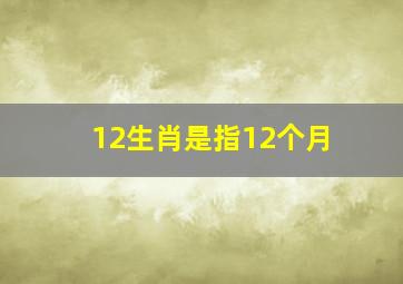 12生肖是指12个月