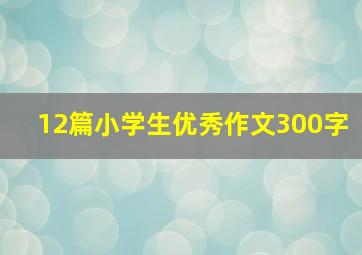 12篇小学生优秀作文300字