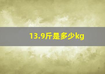 13.9斤是多少kg