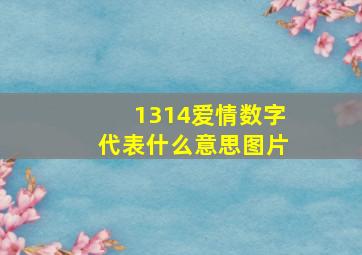 1314爱情数字代表什么意思图片