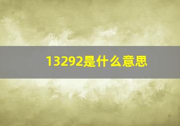 13292是什么意思