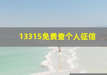 13315免费查个人征信