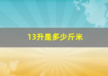 13升是多少斤米