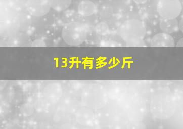 13升有多少斤