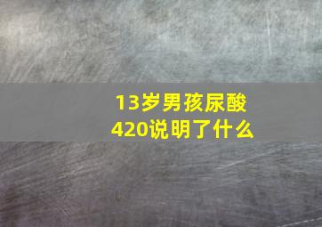 13岁男孩尿酸420说明了什么