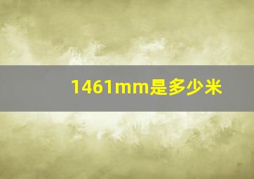 1461mm是多少米