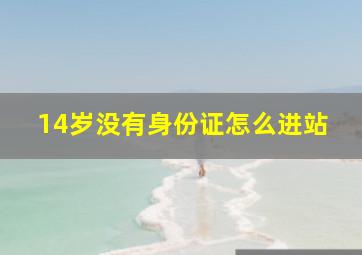 14岁没有身份证怎么进站