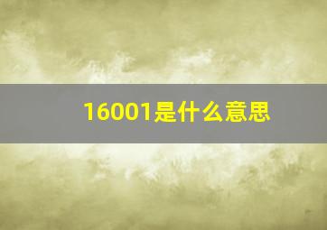 16001是什么意思