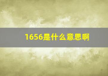 1656是什么意思啊