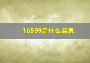 16599是什么意思