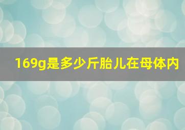 169g是多少斤胎儿在母体内