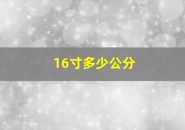 16寸多少公分