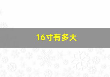 16寸有多大