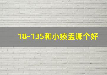 18-135和小痰盂哪个好