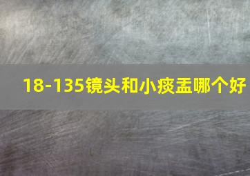 18-135镜头和小痰盂哪个好