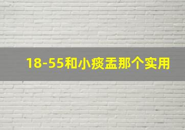 18-55和小痰盂那个实用