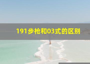 191步枪和03式的区别