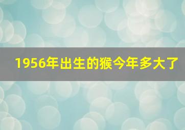 1956年出生的猴今年多大了