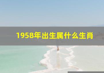 1958年出生属什么生肖