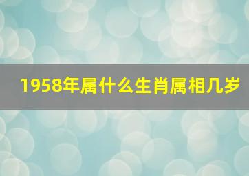 1958年属什么生肖属相几岁